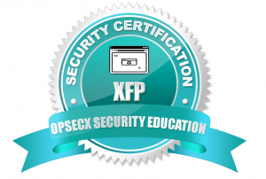 Cross Site Scripting (XSS) Attacks for Pentesters